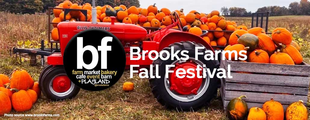 4. Brooks Farms Fall Fun Festival 布鲁克斯农场秋季欢乐节