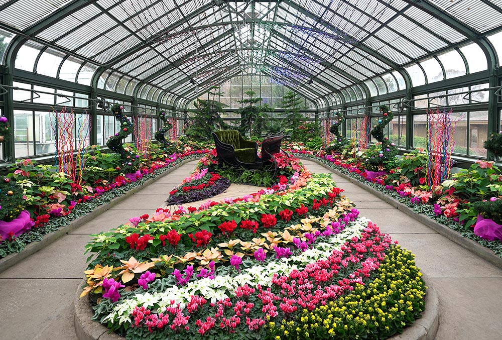 6. Niagara Parks Floral Showhouse 年度秋季花展（最后周末）